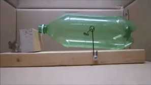 Jak se zbavit myší navždy humánní a radikální metody